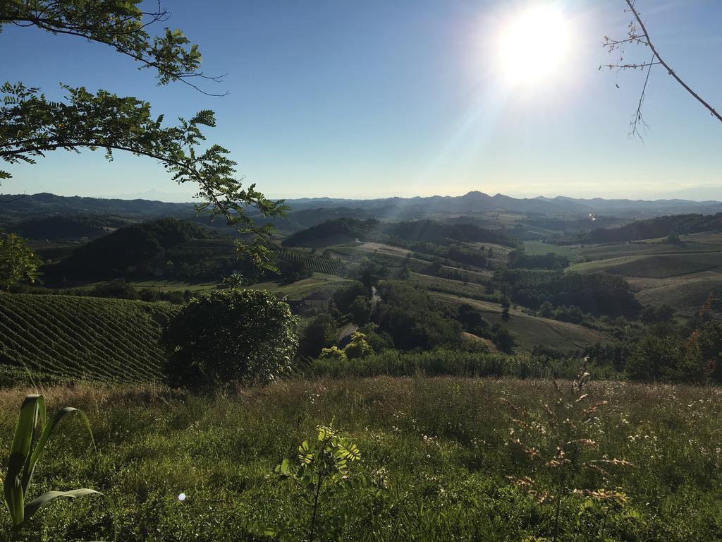 Villa Agriturismo Cascina Nuova à Valenza Extérieur photo