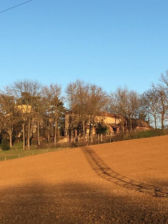 Villa Agriturismo Cascina Nuova à Valenza Extérieur photo