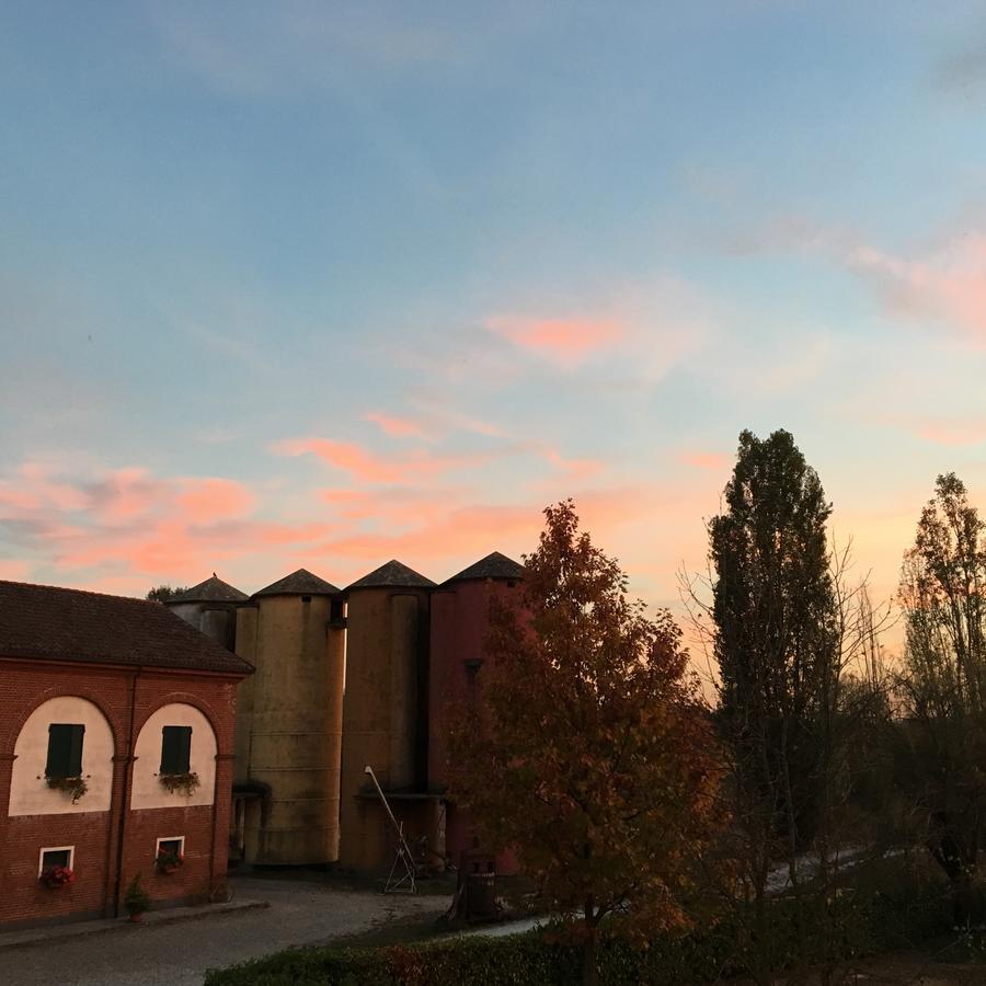 Villa Agriturismo Cascina Nuova à Valenza Extérieur photo