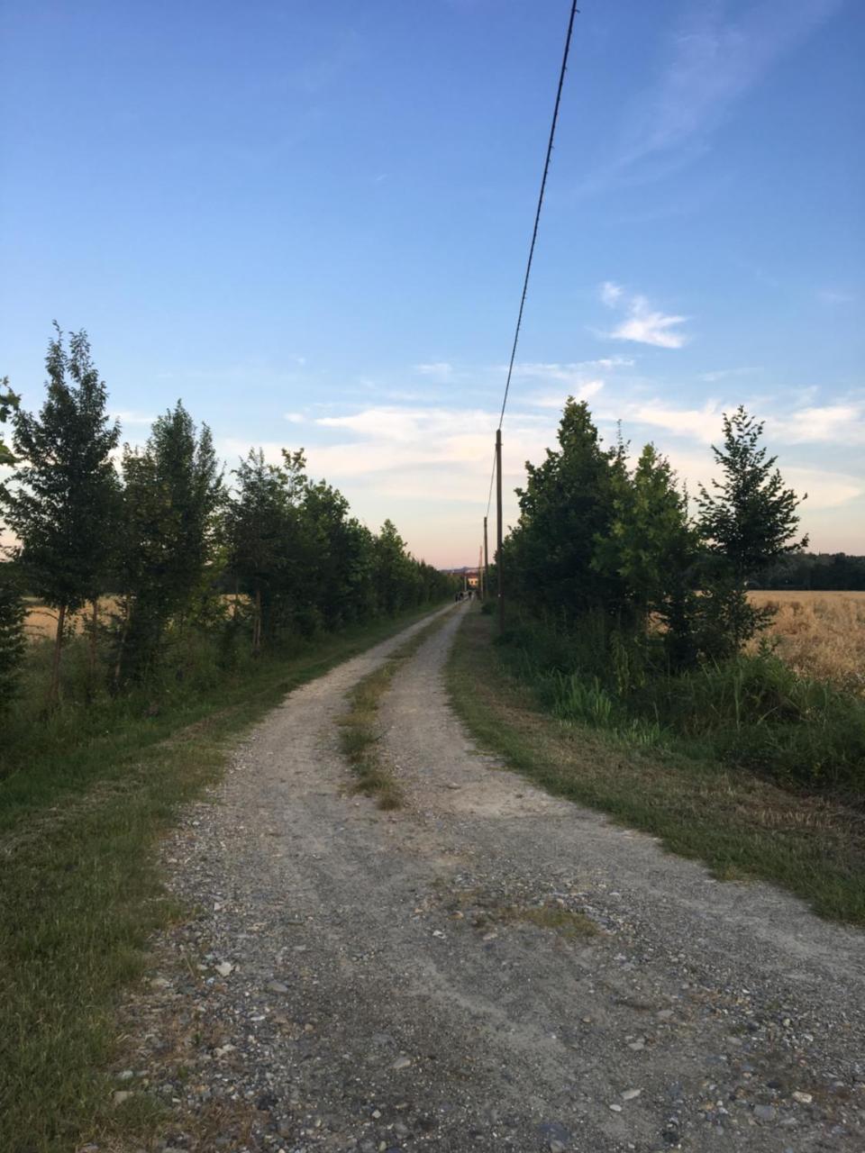 Villa Agriturismo Cascina Nuova à Valenza Extérieur photo