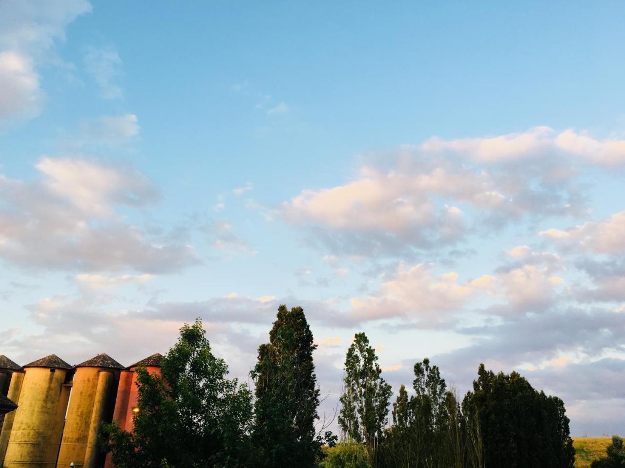 Villa Agriturismo Cascina Nuova à Valenza Extérieur photo