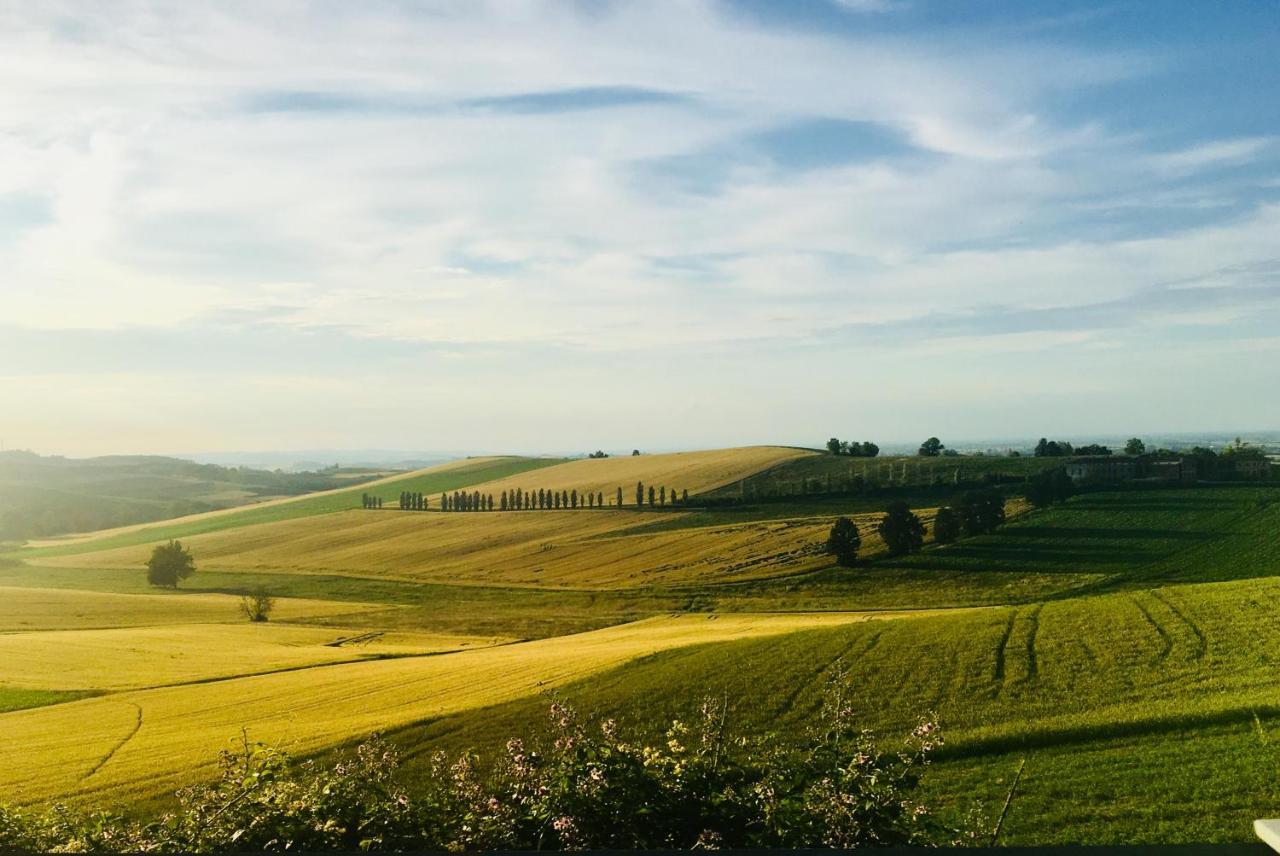 Villa Agriturismo Cascina Nuova à Valenza Extérieur photo
